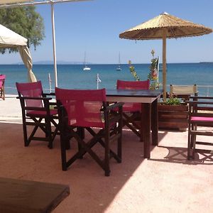 Kefalonia Beach Hotel & Bungalows